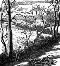 wood-engraving original print: Hedge Trimming for Farmer's Glory